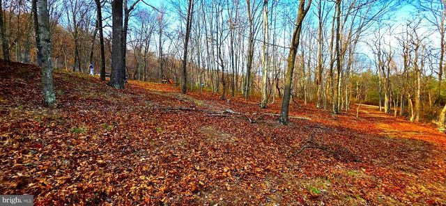 163 OLIVE BRANCH RD, Rio, WV 26755