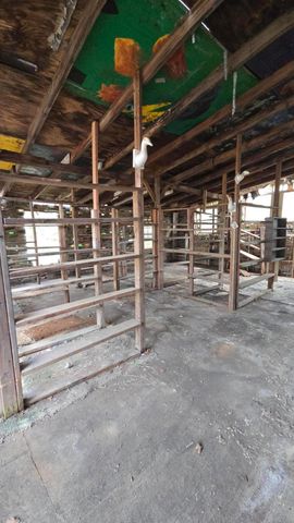 916 Windsor Road, Windsor, SC 29856