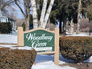 41276 N Woodbury Green Drive, Belleville, MI 48111