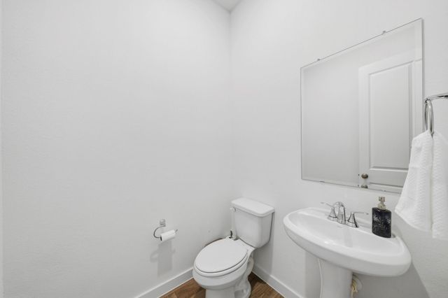 24815 Blooming Sunflower Trail, Katy, TX 77493