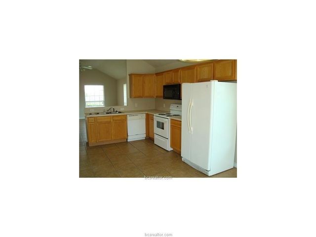 3508 Wild Plum, College Station, TX 77845