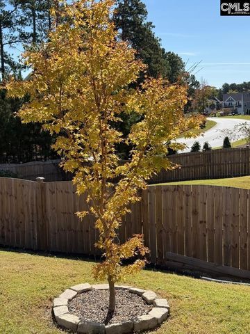 264 Feather Reed Lane, Elgin, SC 29045