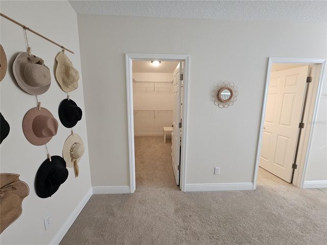 11541 CROWNED SPARROW LANE, Tampa, FL 33626