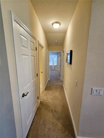 11541 CROWNED SPARROW LANE, Tampa, FL 33626