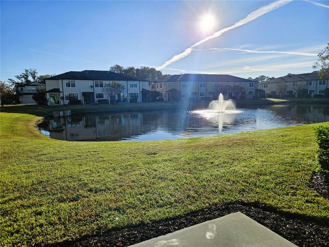 11541 CROWNED SPARROW LANE, Tampa, FL 33626