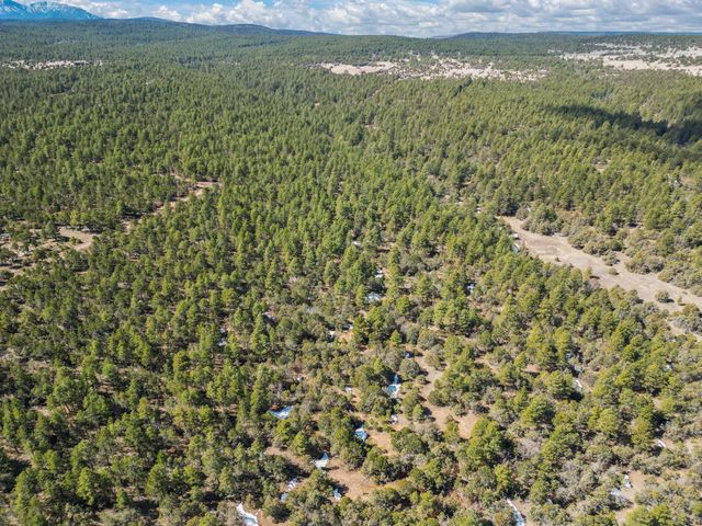 0 Raquel Road, Tijeras, NM 87059