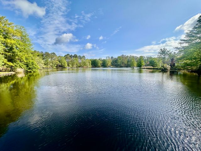 118 Broad River Drive, Santee, SC 29142