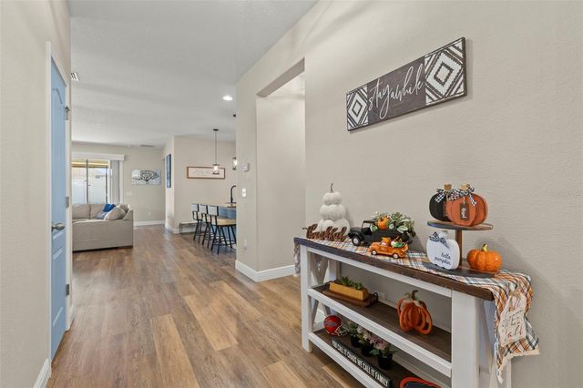 10222 CELTIC ASH DRIVE, Ruskin, FL 33573