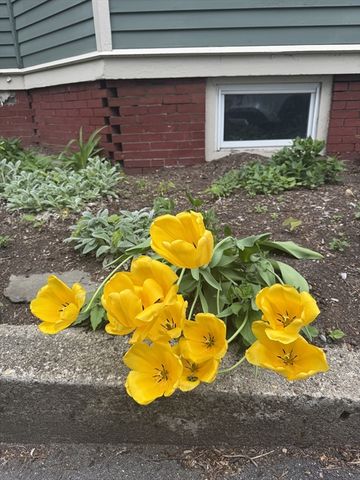 25 Banks St 2, Somerville, MA 02144