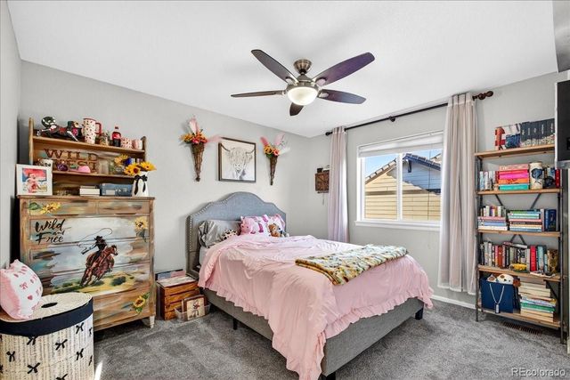 8049 Sabino Lane, Castle Rock, CO 80108