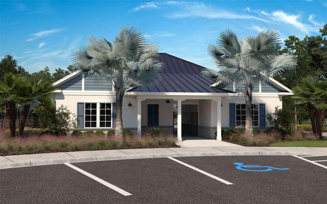 10040 BLACKSTONE CREEK COURT Borage, Riverview, FL 33578