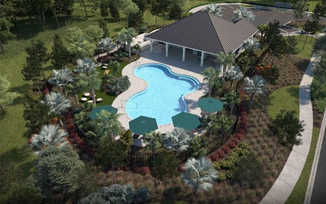 10040 BLACKSTONE CREEK COURT Borage, Riverview, FL 33578