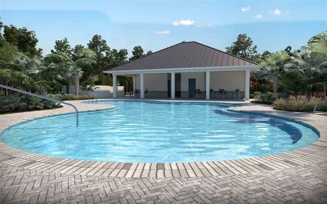 10040 BLACKSTONE CREEK COURT Borage, Riverview, FL 33578
