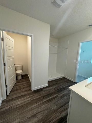 313 TALISI LOOP, St Cloud, FL 34771