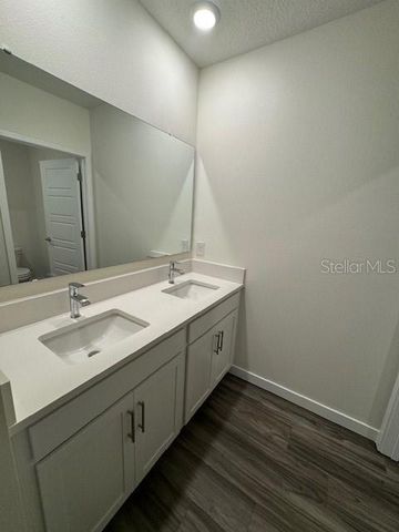 313 TALISI LOOP, St Cloud, FL 34771