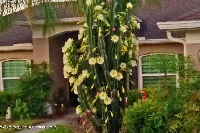 13114 Lawrence Street, Spring Hill, FL 34609