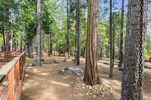 3894 Ottawa Dr, Camp Connell, CA 95223