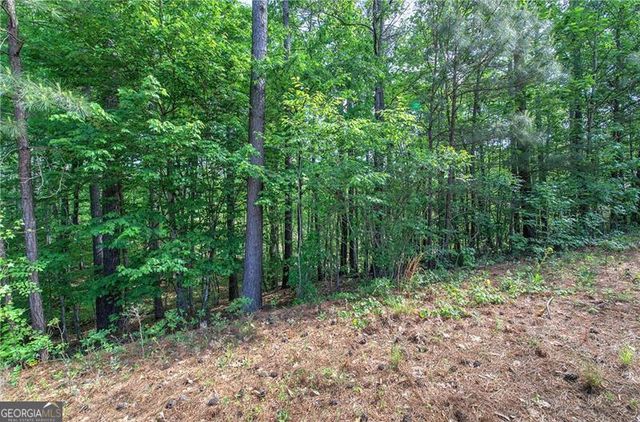 60 Amberlily Court, Dallas, GA 30132