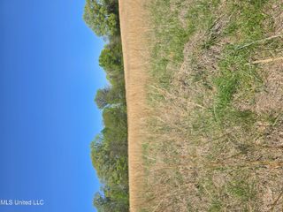 Melanie Lane, Hernando, MS 38632