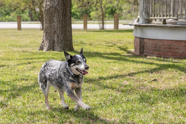 5655 Main Street, Chappell Hill, TX 77426