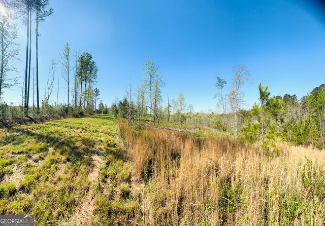 1904 Calhoun Road, Dewy Rose, GA 30634