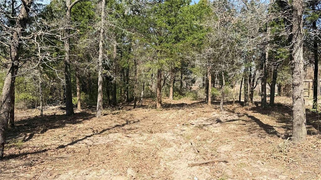 130 Las Cimas DR, Elgin, TX 78621