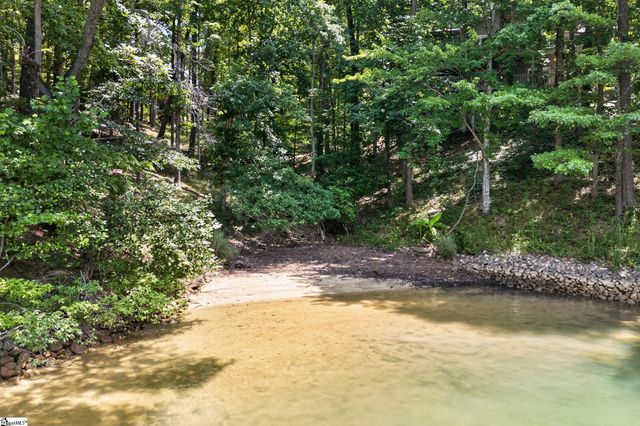 12 Lookout Lane, Salem, SC 29676