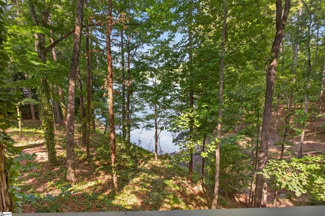 12 Lookout Lane, Salem, SC 29676