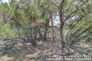 1590 Rose LN, Canyon Lake, TX 78133