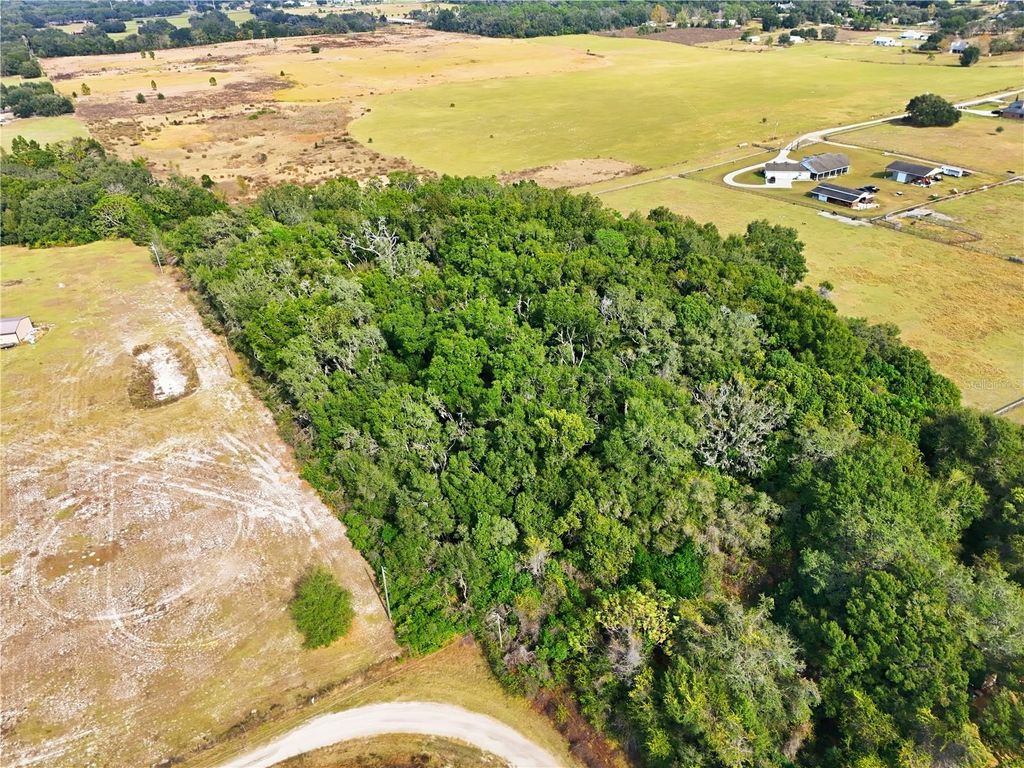 CURLE ROAD, Eustis, FL 32736