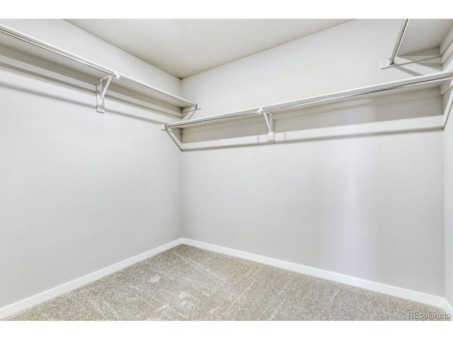 13775 Daffodil Way, Parker, CO 80134