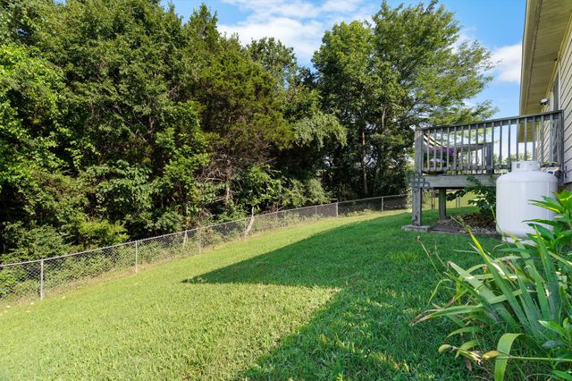 440 Hillbilly Lane, Hollister, MO 65672