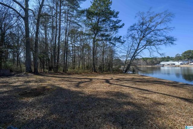 80 SILVER LAKE DRIVE, Cropwell, AL 35054