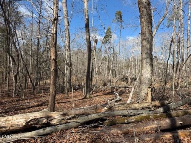 Lot 1 Olivia Pope Way, Efland, NC 27243