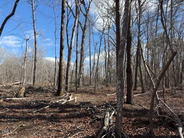 Lot 1 Olivia Pope Way, Efland, NC 27243
