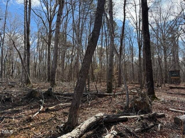 Lot 1 Olivia Pope Way, Efland, NC 27243