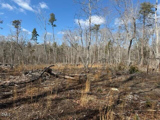 Lot 1 Olivia Pope Way, Efland, NC 27243