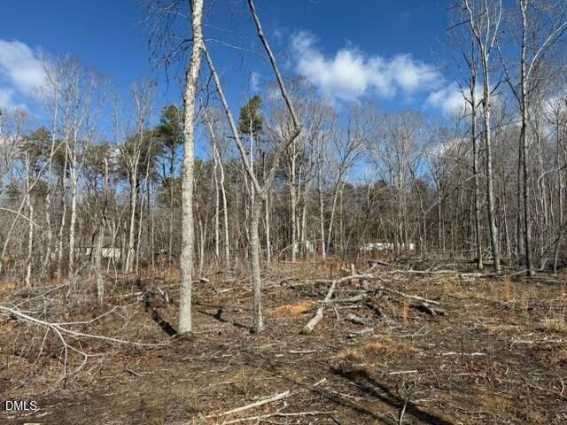 Lot 1 Olivia Pope Way, Efland, NC 27243