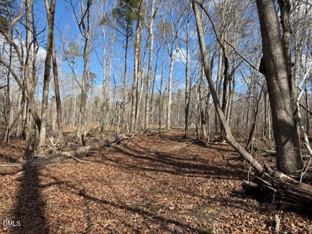 Lot 1 Olivia Pope Way, Efland, NC 27243
