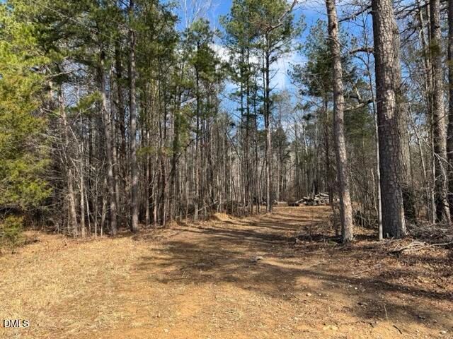 Lot 1 Olivia Pope Way, Efland, NC 27243