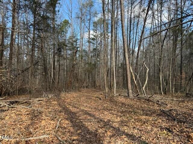 Lot 1 Olivia Pope Way, Efland, NC 27243