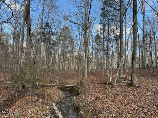 Lot 1 Olivia Pope Way, Efland, NC 27243