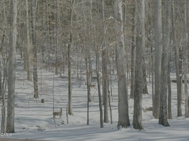 Lot 1 Olivia Pope Way, Efland, NC 27243