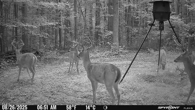 Lot 1 Olivia Pope Way, Efland, NC 27243