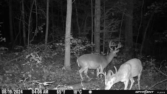 Lot 1 Olivia Pope Way, Efland, NC 27243