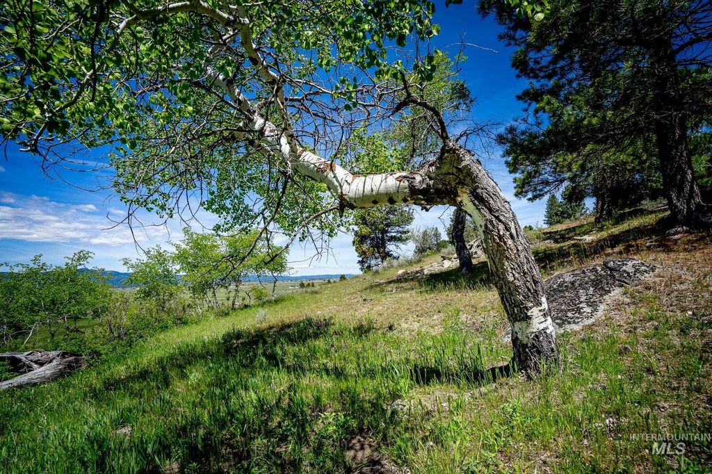 tbd Gold Fork Rd., Donnelly, ID 83615 photo 6