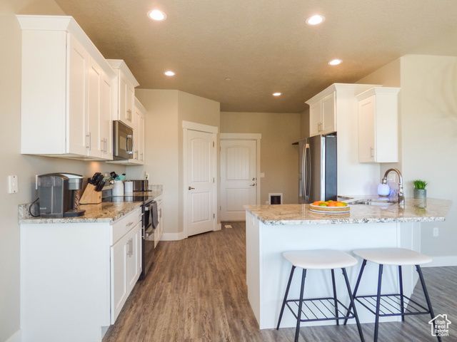 4718 E COUGAR RUN, Fairview, UT 84629