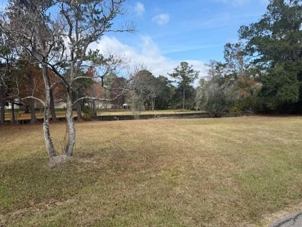 0 Simonson Street, Bayou La Batre, AL 36509 — photo 3