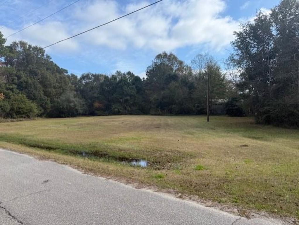 0 Simonson Street, Bayou La Batre, AL 36509 — photo 4