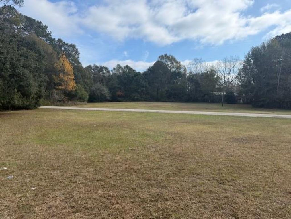 0 Simonson Street, Bayou La Batre, AL 36509 — photo 5